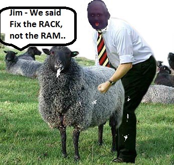 The Life of Jim