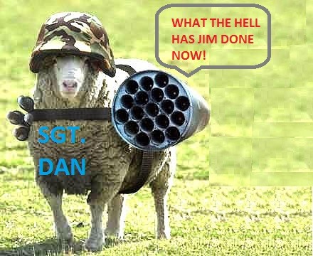 sheep-dan