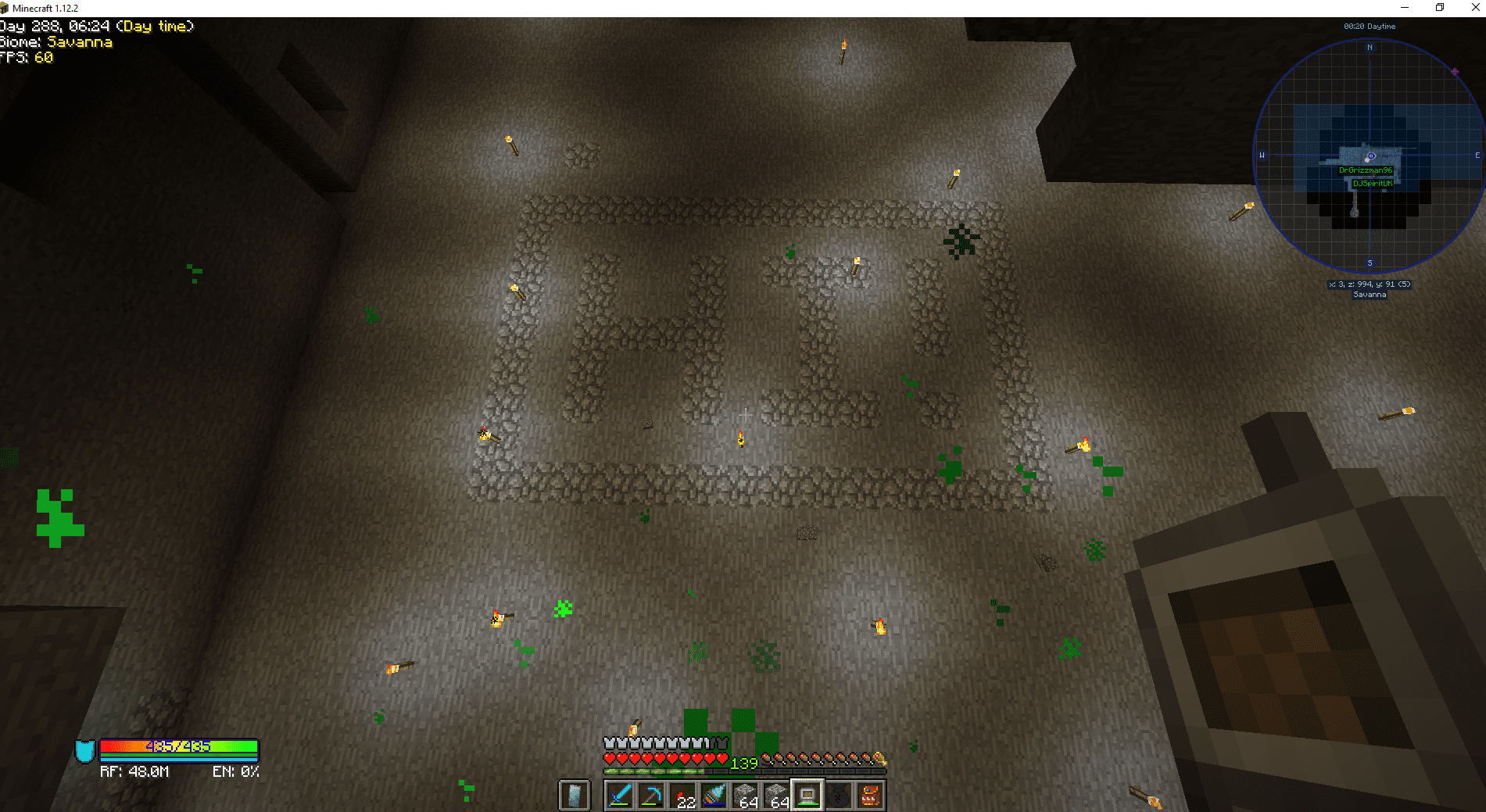 Clearing Minecraft Server Lag