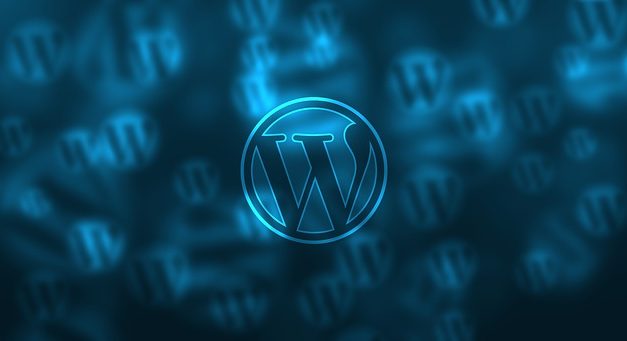 Understanding Basic WordPress SEO