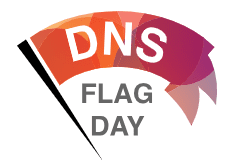 What is DNS Flag Day? (1st Feb 2019)